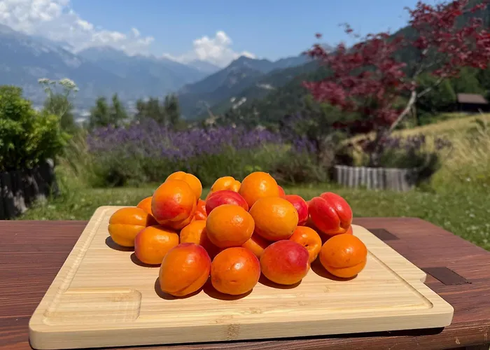 L'aiglon Valais - Vue, Confort, Jacuzzi * Grône